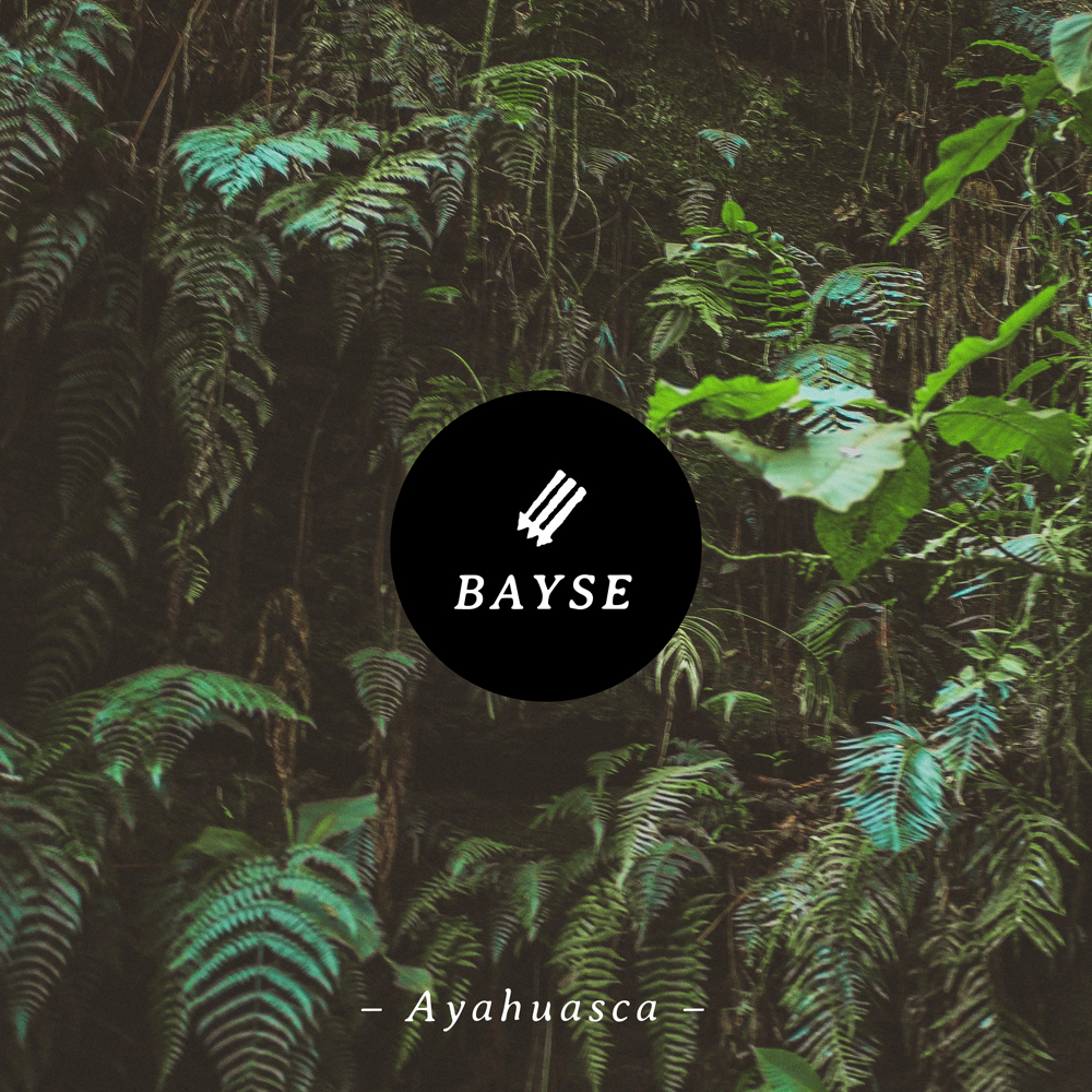 bayse ayahuasca cover